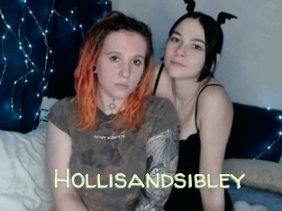 Hollisandsibley