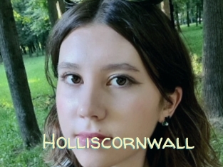 Holliscornwall