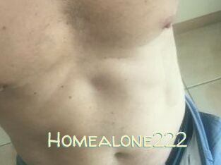 Homealone222