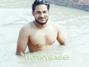 Hornygaggi
