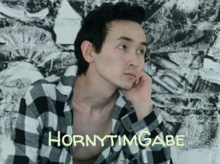 hornytimGabe Sexy Tchat