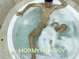 Hornywildboy