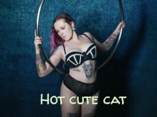Hot_cute_cat