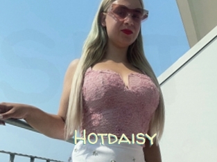 Hotdaisy
