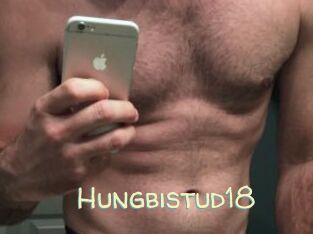Hungbistud18