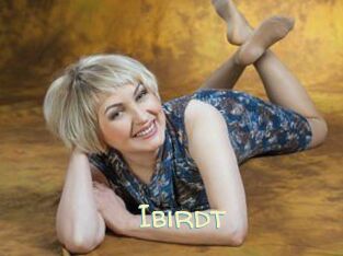 Ibirdt