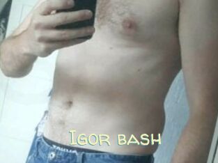 Igor_bash