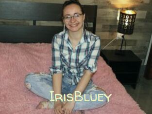 IrisBluey