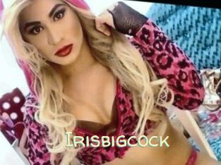 Irisbigcock