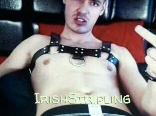 IrishStripling