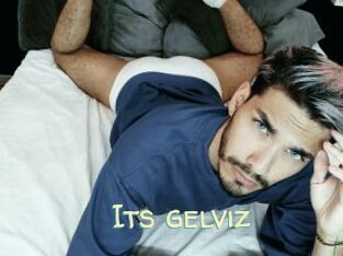 Its_gelviz