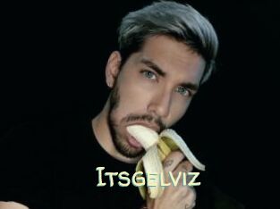 Itsgelviz