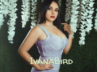 IvanaBird