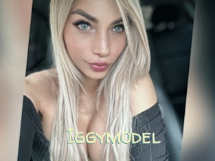 Iggymodel
