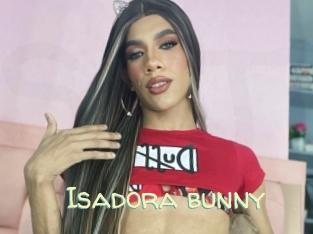 Isadora_bunny