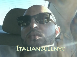 Italianbullnyc