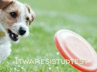 Itwaresistudtest