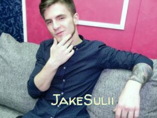 JakeSulii