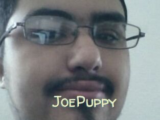 JoePuppy