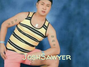 JoshSawyer Sexy Tchat