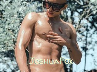 JoshuaFox