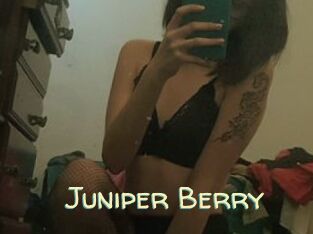 Juniper_Berry