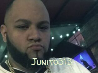 Junito313