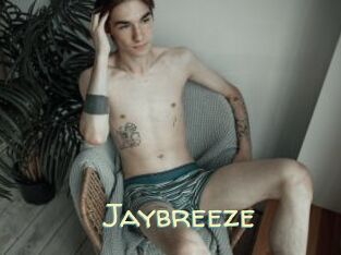 Jaybreeze