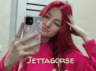 Jettagorse