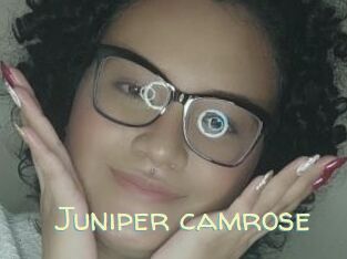 Juniper_camrose