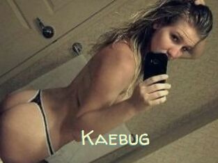 Kaebug