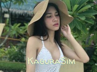 KaguraSim