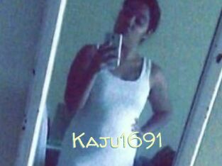 Kaju1691