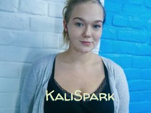 KaliSpark