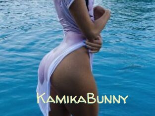 KamikaBunny