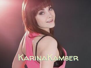 KarinaKamber
