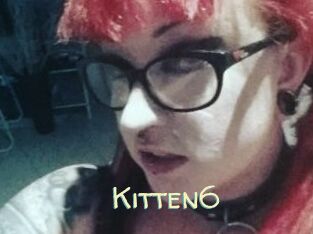 Kitten6