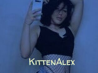 KittenAlex