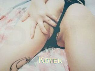 Kotek