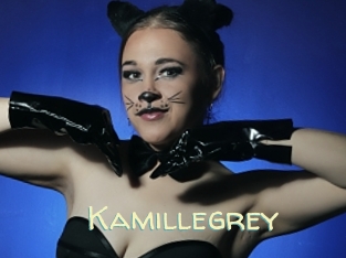 Kamillegrey