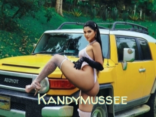 Kandymussee