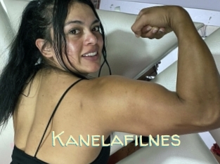 Kanelafilnes