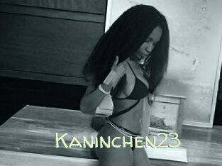 Kaninchen23