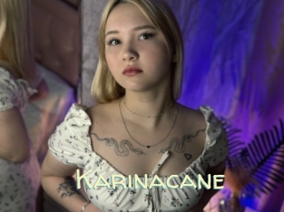 Karinacane