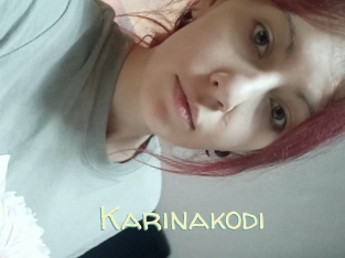 Karinakodi
