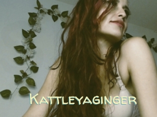 Kattleyaginger