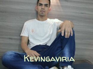 Kevingaviria