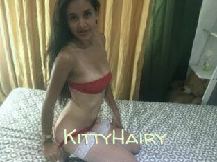 KittyHairy