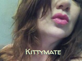 Kittymate
