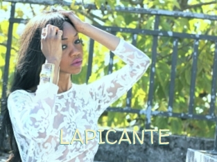 LAPICANTE